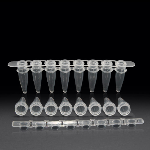 PCR Tubes & Strips