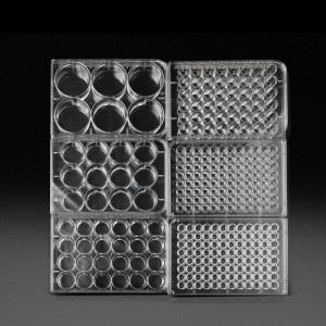 Multi-well TC treated Plates