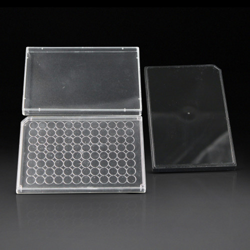 Plate Lids