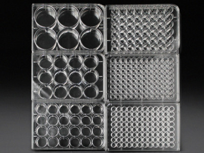 Multi-well Plates